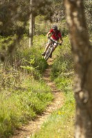 /album/galeria-de-fotos-pre-season-training-at-lagos1/mountain-bike-adventure-6-jpg2/